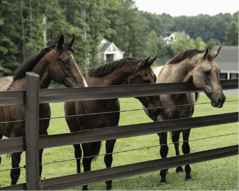 Flexibilné elektrické oplotenie pre hospodárske zvieratá – bezpečné riešenie pre farmy