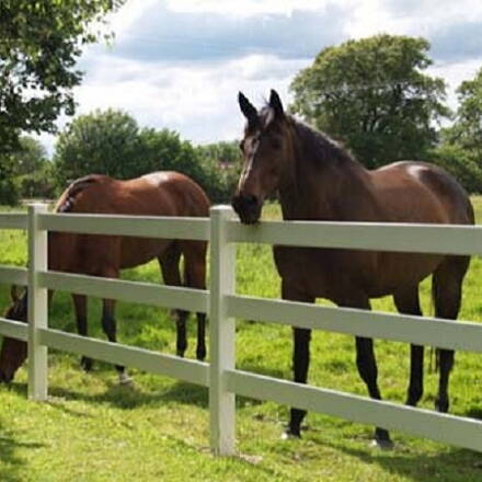 Ubytování jednoho montéra na jednu noc