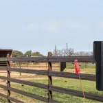 Flexibilné konské oplotenie - 100m 