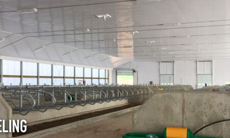 PVC obklady na steny a stropy v jazdeckých stajniach – hygienické, odolné a bezúdržbové obkladové pa