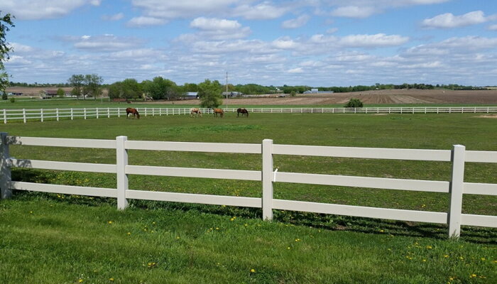 Prečo si vybrať biele vinylové ohrady pre ohradenie koní?