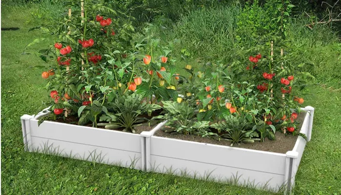 Prečo sa oplatí pestovať v vyvýšených záhonoch