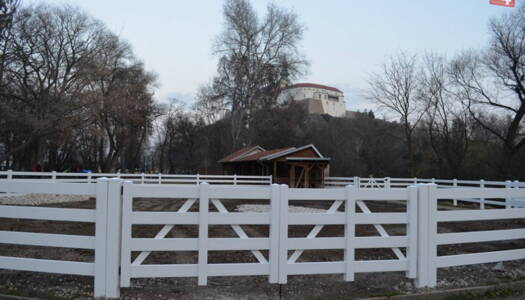 Affordable Equine Vinyl Fences: White & Black Options with 2, 3, 4 Rail Designs